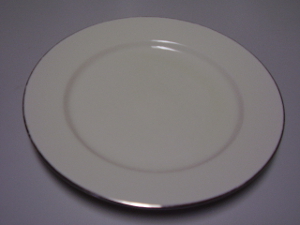 10 inch Dinner plates