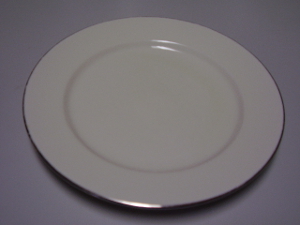 10 inch Dinner plates